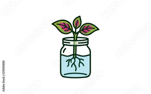 Plant Propagation in Glass Jar Vector Illustration
