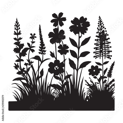 Bild auf Leinwand Alpine Wildflowers vector silhouette illustration concept design set collection