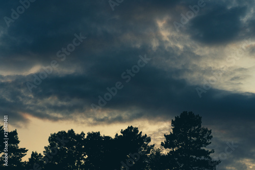 Wolkenstimmung ihm Abend über den Bäumen dunkle Wolken ziehen