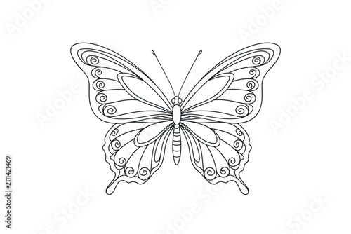 Decorative Butterfly Line Art Vector
