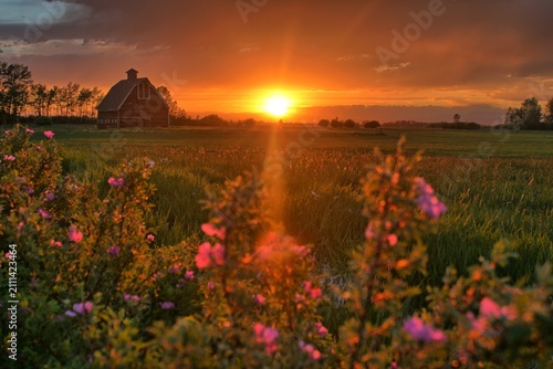 Cuadro en lienzo Montana Barn Sunset