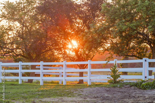 Konstfotografi White fence with trees and the sunset