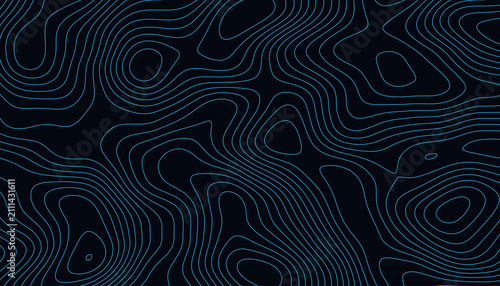 Bild auf Leinwand Abstract topographic contour lines seamless background