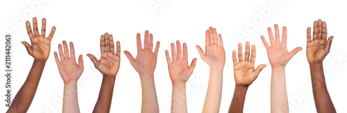Many different hands up isolated on white or transparent background 