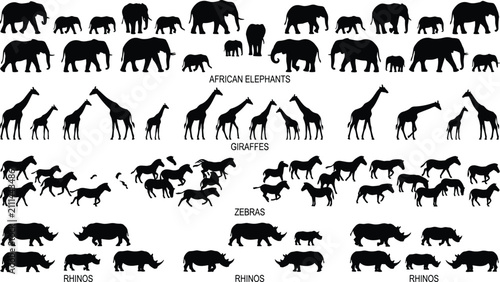 Vászonkép Black silhouettes of various African safari wild animals including elephants, gi