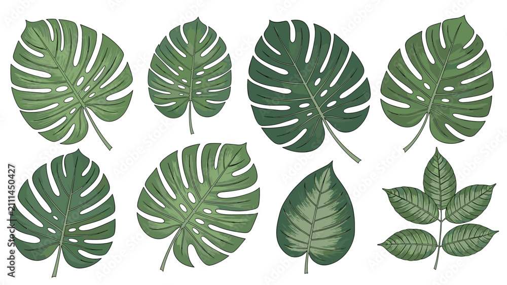 Naklejka premium Large monstera and palm leaves collection in deep green color with hand drawn textures for tropical botanical art.