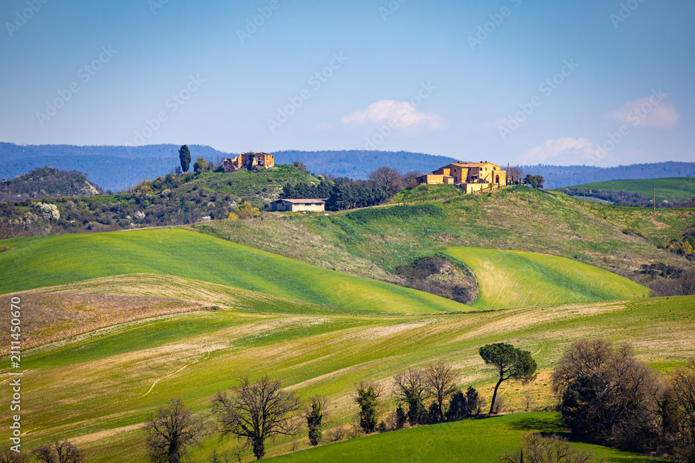 Obraz premium Tuscan countryside showing rolling green hills and traditional farms