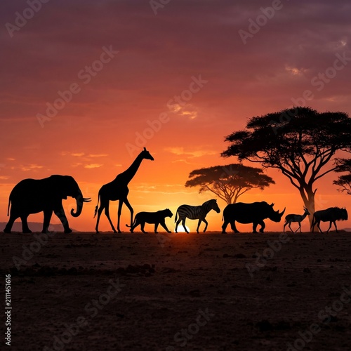 Photography African Wildlife Safari Sunset Silhouette