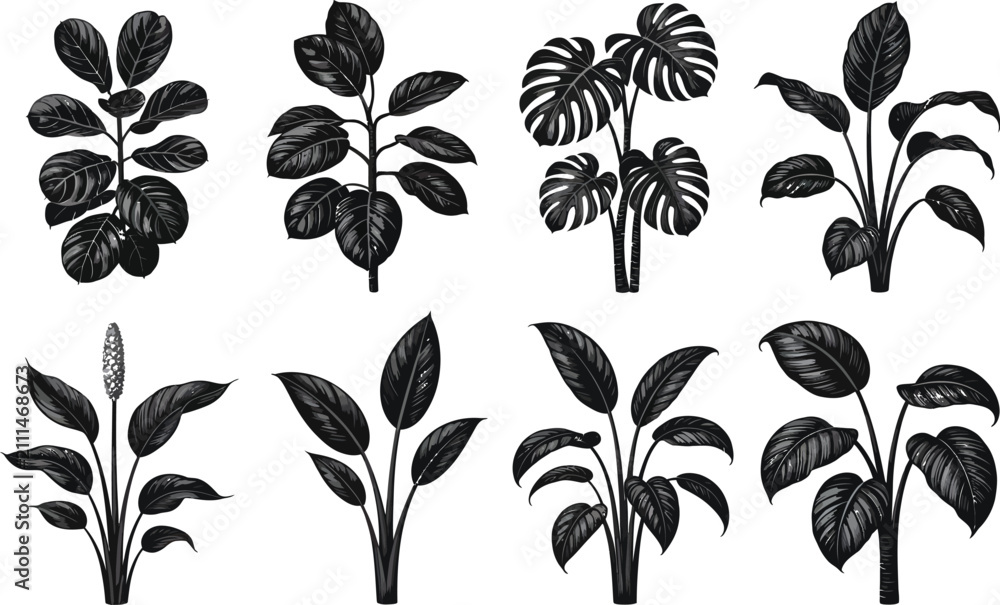 Obraz premium Monstera and tropical houseplant line art collection. Minimalist botanical vector illustrations for modern decor and design projects.