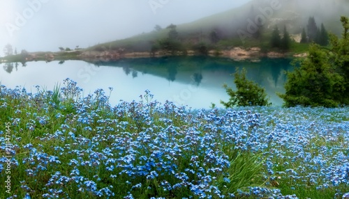 A Serene Scene Of Wild Blue Forget Me Nots Blooming Near A Calm Lake Surrounded By A Misty Background Evoking Tranquility