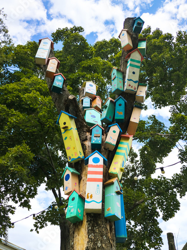 A composition of many multi-colored birdhouses on a tree trunk