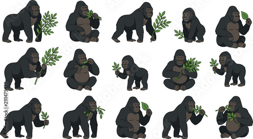 Photography Gorilla and Chimpanzee Character Set Featuring Wild Apes Standing Walking Sittin