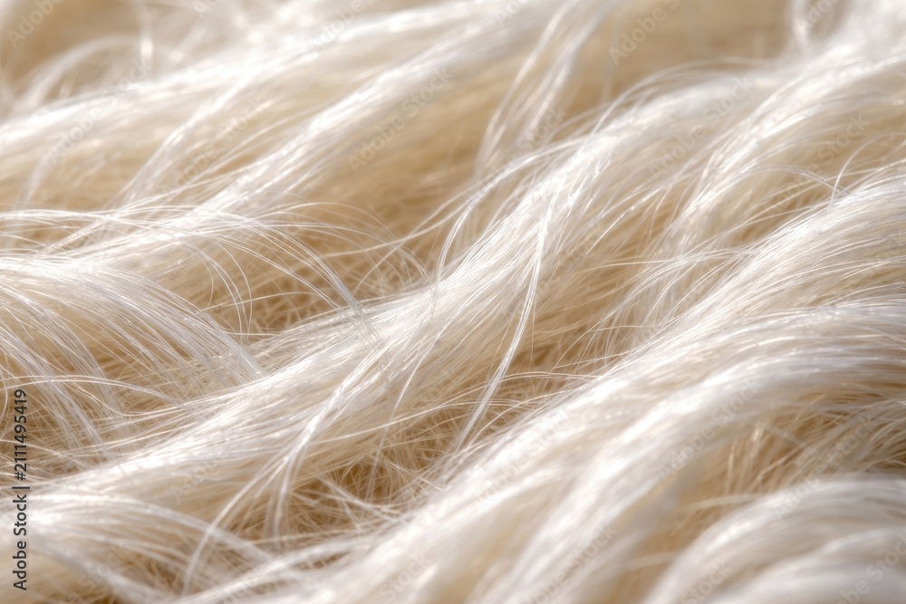 Obraz premium Close view of fine, light-colored strands on a soft surface