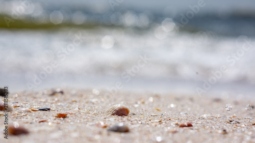 Fotografie Soft sand holds scattered shells and pebbles