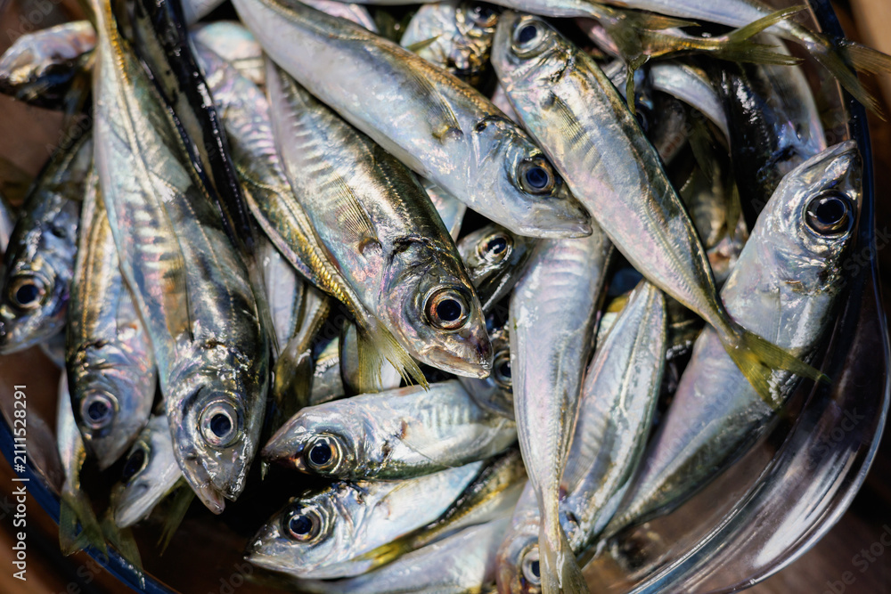 Obraz premium Closeup of fresh horse mackerel fish with silver scales and glossy texture in metal bowl, raw seafood catch for market, cooking, nutrition and fishing concepts