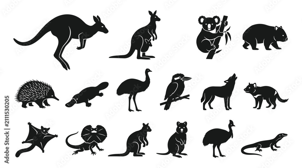 Fototapeta premium Animals Including Kangaroos, Koalas, and Wolves in Black Silhouette Style Featuring Kangaroo, Koala, Wolf with Cat and Bird