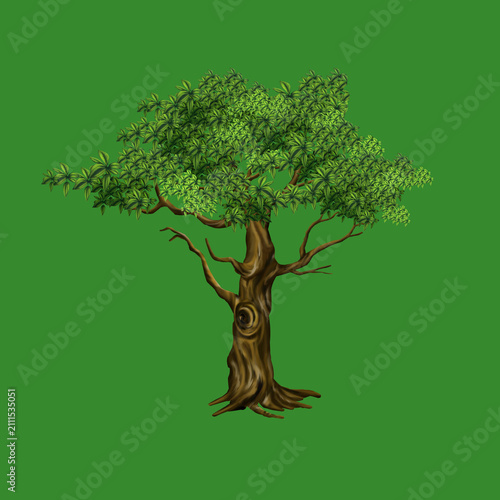 Obraz na plátně Detailed Stylized Green Tree Illustration with Lush Foliage Isolated on Green Ba