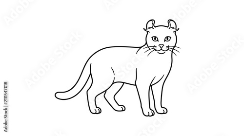 Obraz na plátne American Curl cat line art illustration standing profile.
