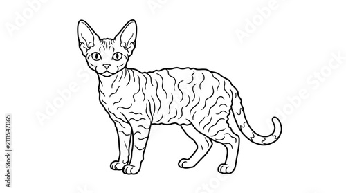 Foto Devon Rex cat line drawing with large ears.