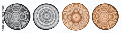 Tree trunk cut texture, wood slice annual rings vector pattern