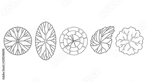 Canvastavla Landscape Tree Canopy Top View Vector Collection Featuring Organic Crown Symbols