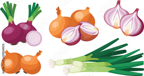 Quadro su tela Onion set flat vector illustration