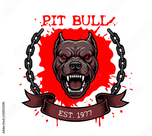 Aggressive pit bull head mascot logo with bared teeth, red eyes, chain frame and splatter background, vector emblem design.