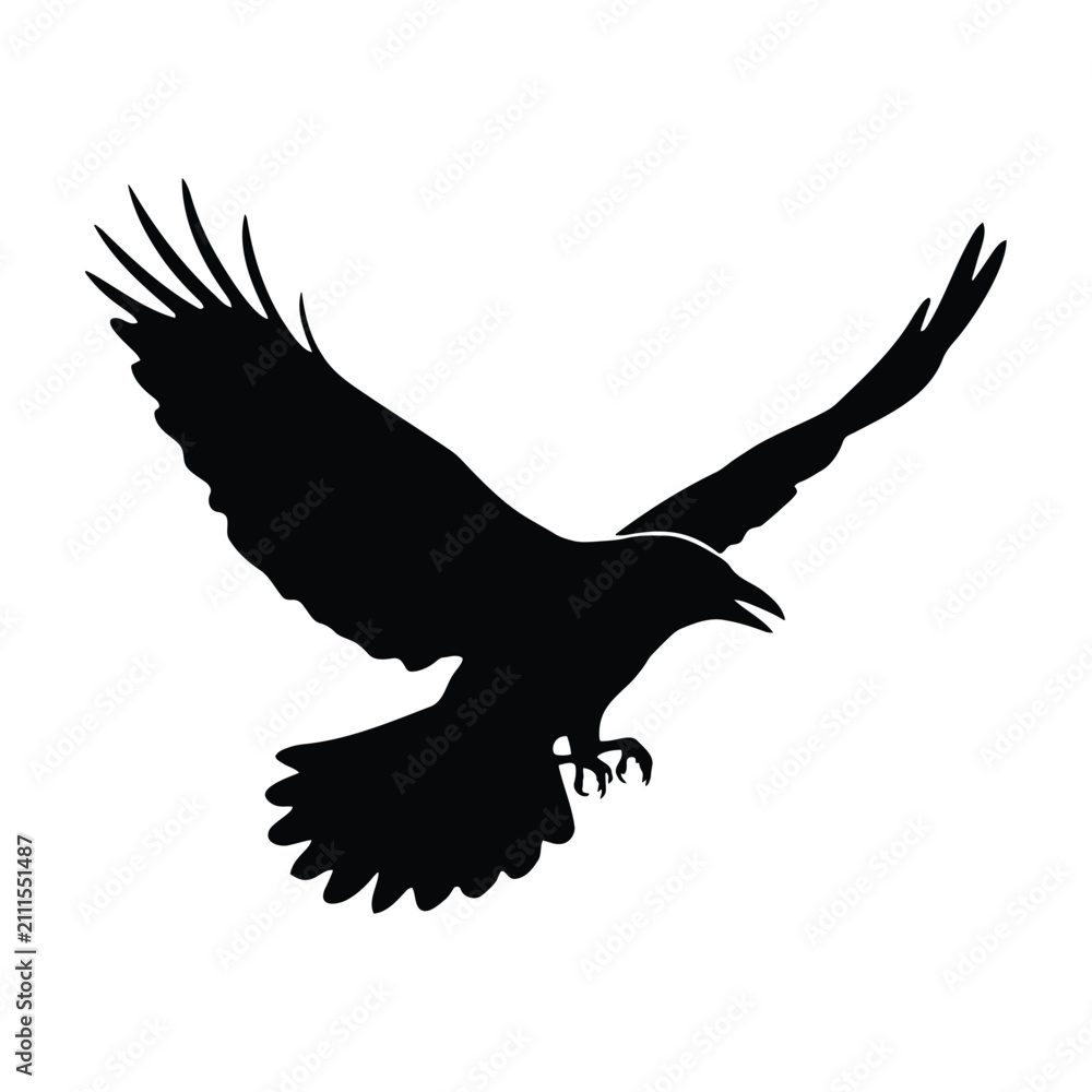 Fototapeta premium Flying crow silhouette isolated on white background for graphic use