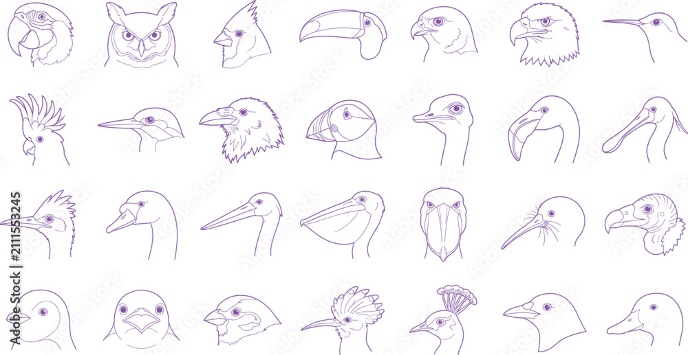 Obraz premium Various Bird Head Species Line Art Vector Illustration Set