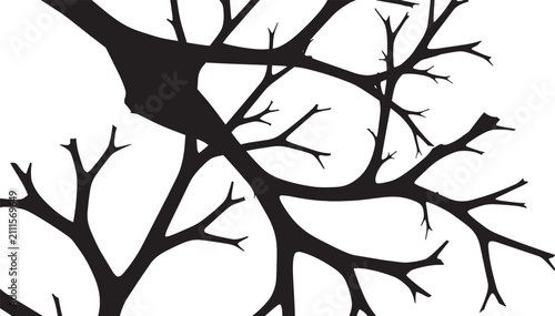 Obraz na płótnie Black and white abstract tree branches neural network roots vector background pa
