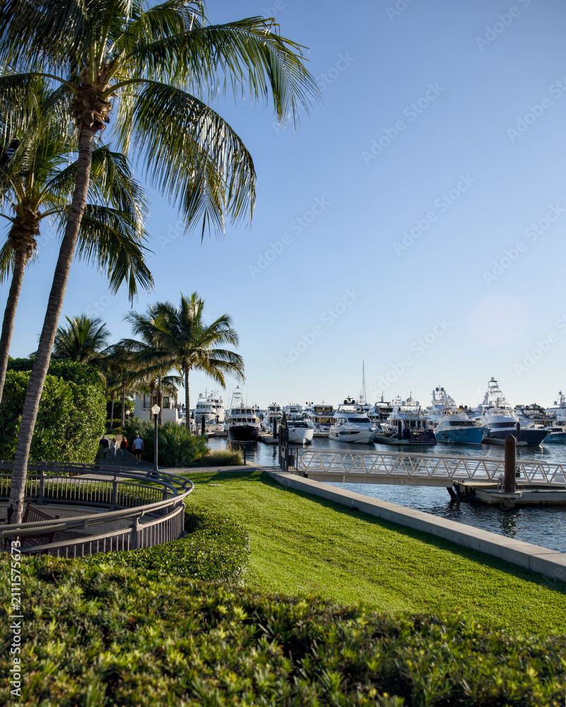 Fototapeta premium Palm trees and a manicured lawn overlook a marina filled with boats