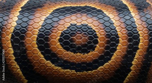 Exotic snake skin texture, close up of python scales pattern, natural reptile leather background