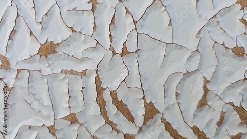 Weathered white paint linear cracks texture Macro background of dry peeling surface