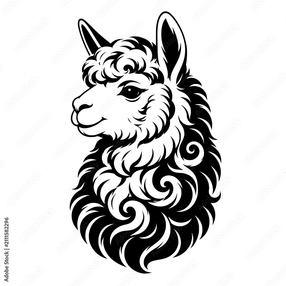 Obraz premium Black and white alpaca portrait with fluffy wool and a friendly expression, ideal for animal, farm, mascot, logo, tattoo, or decorative design.