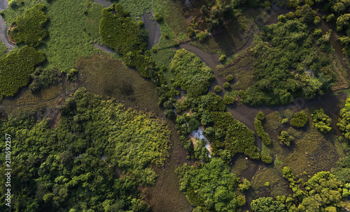 Ariel view of a beautiful landscape