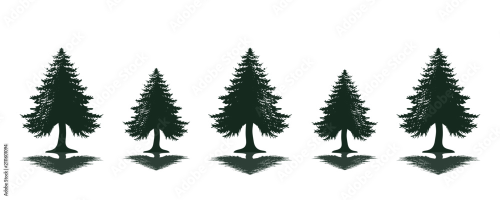 Fototapeta premium spruce logo design,vector,symbol,icon,silhouette,pine,wood,vintage,wood,evergreen,icon,symbol,silhouette,outdoor,plant,illustration,branch,landscape,park,spruce,graphic,black