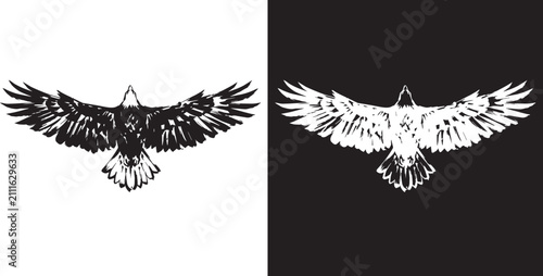 Hand Drawn Ink Brush Symmetrical Flying Eagle Overhead View Vector Illustration Isolated On White And Black Background