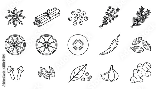 Collection of various spices and fruits, detailed line art vector illustration for cooking.