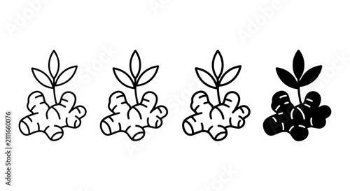 Ginger Root Sprouts, Organic Plant Icons, Healthy Food Ingredient, Culinary Spice, Botanical Vector Set