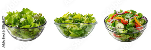 Set of Nutritious vegetarian salad bowl on transparent png background. Ai generated