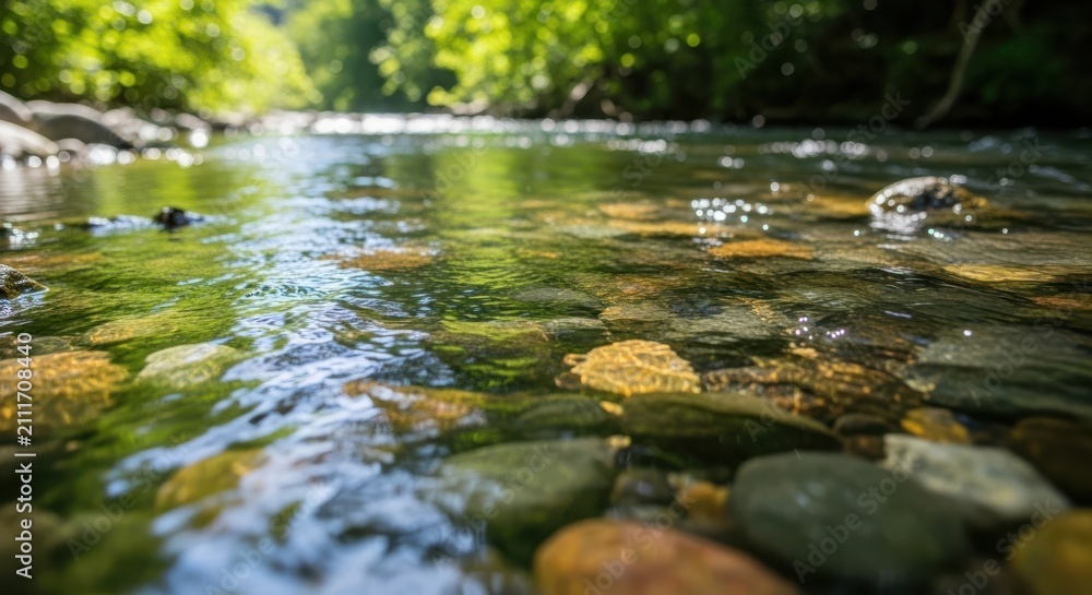 Fototapeta premium Clear River Flowing Over Stones with Sunlight Reflections