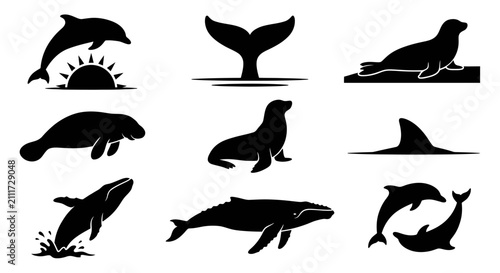 Fotografie Black silhouettes of dolphins, whales, and seals.
