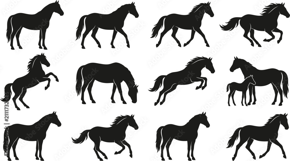 Fototapeta premium Horse silhouette collection featuring standing, walking, running, grazing, rearing and mare with foal isolated on white background