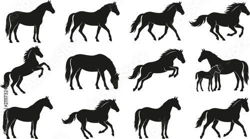 Fényképezés Horse silhouette collection featuring standing, walking, running, grazing, reari