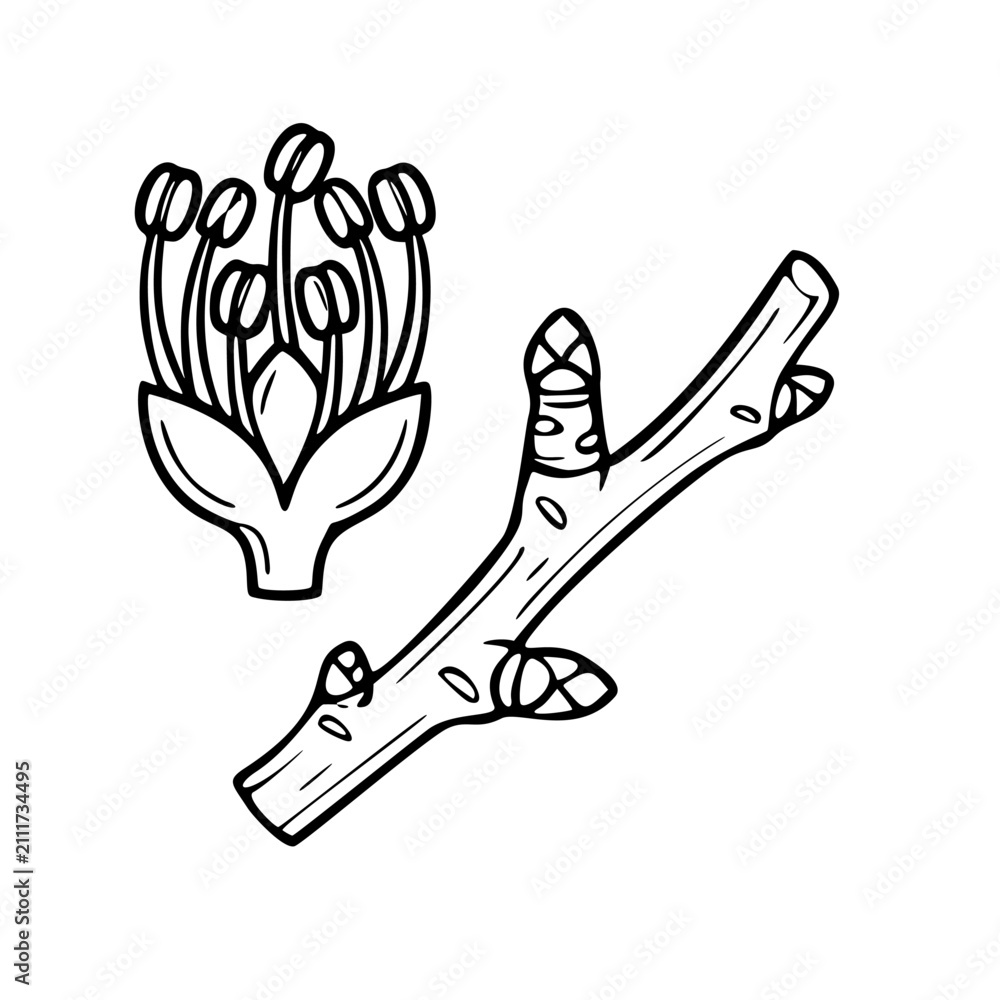 Obraz premium wood stick with flower