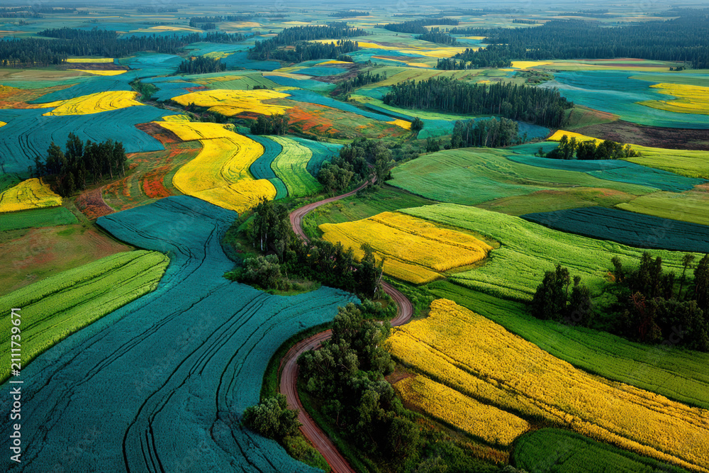 Obraz premium Aerial View of Colorful Agricultural Fields with Winding Road Landscape