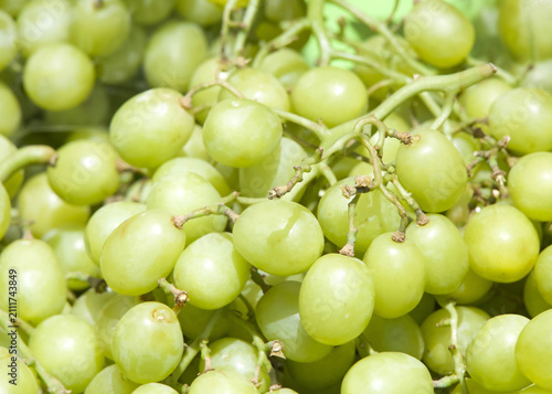 Close up on fresh organic green grapes on the stems at farmers market. Fresh fruit background.