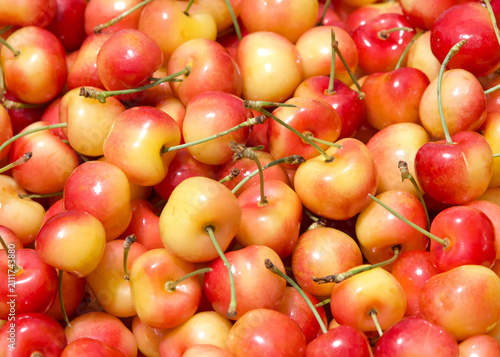 top view flat lay close up of fresh organic Rainier Cherries with stems on piled for sale at Farmers market