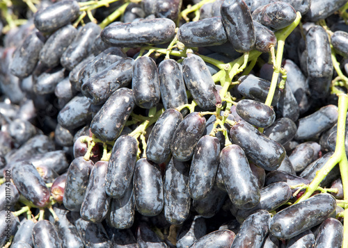 Close up on fresh organic purple moon grapes on the stems at farmers market. Fresh fruit background.