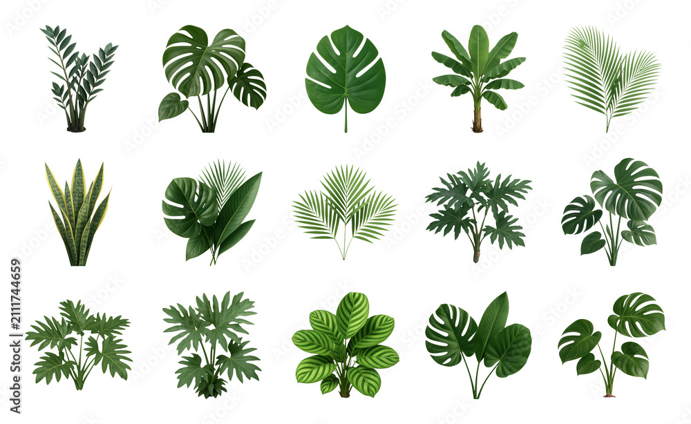 Obraz premium PNG Tropical leaves collection variety on transparent background